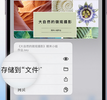 天元apple维修中心分享iPhone文件应用中存储和找到下载文件