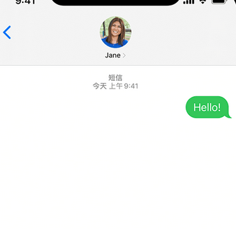 天元apple维修iPhone上无法正常发送iMessage信息