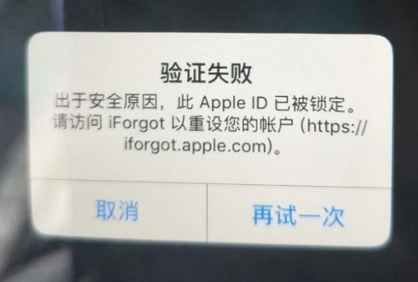 天元iPhone维修分享iPhone上正常登录或使用AppleID怎么办 