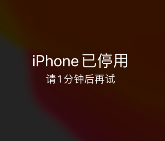 天元苹果手机维修分享:iPhone 显示“不可用”或“已停用”怎么办？还能保留数据吗？ 