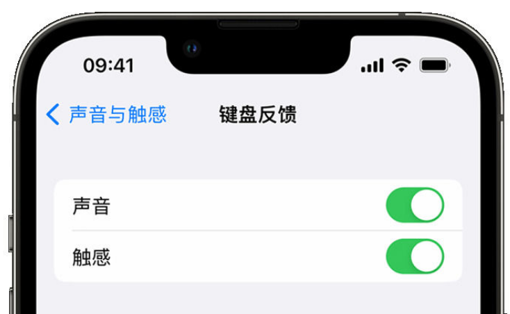 天元苹果手机维修分享iPhone 14触感键盘使用方法 