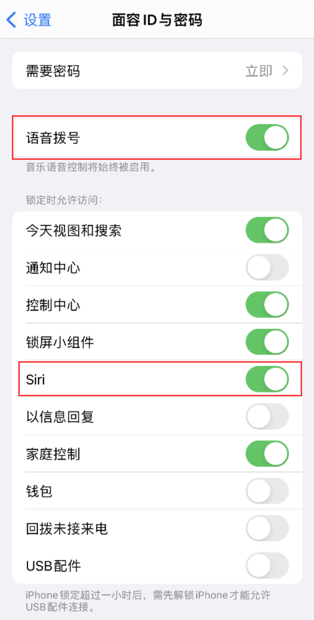 天元苹果维修网点分享不解锁 iPhone 的情况下通过 Siri 拨打电话的方法 