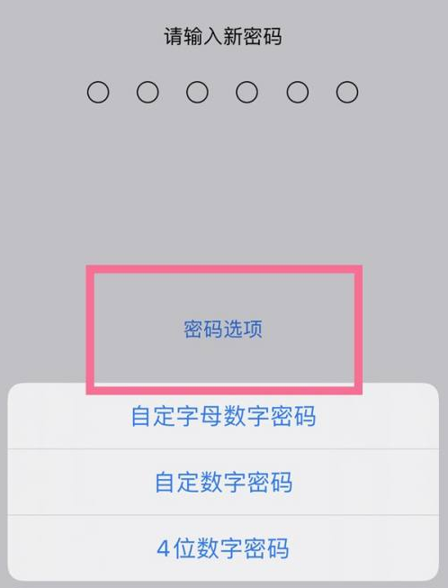 天元苹果14维修分享iPhone 14plus设置密码的方法 