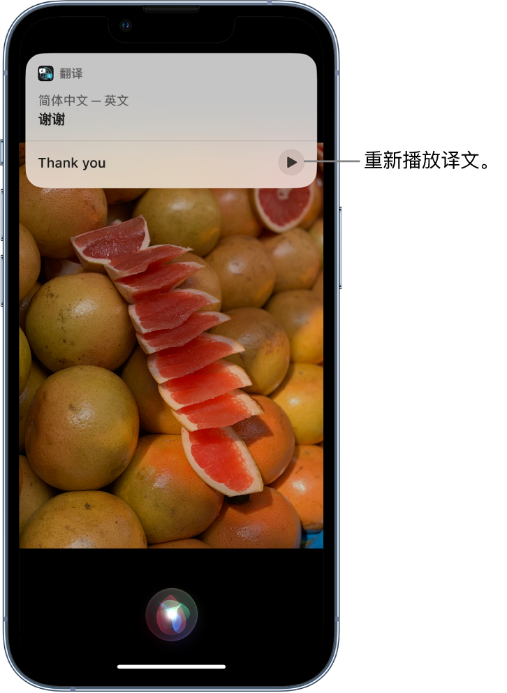 天元苹果14维修分享 iPhone 14 机型中使用 Siri：了解 Siri 能帮你做什么 