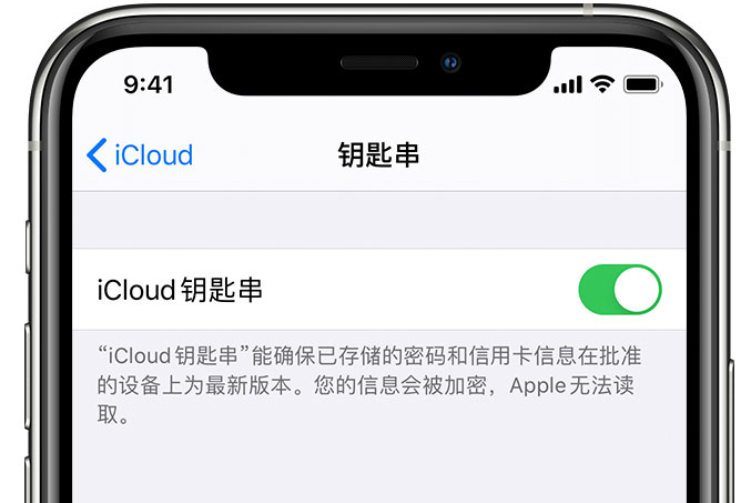 天元苹果手机维修分享在 iPhone 上开启 iCloud 钥匙串之后会储存哪些信息 