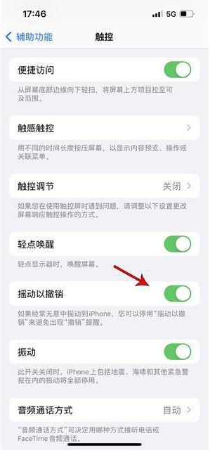 天元苹果手机维修分享iPhone手机如何设置摇一摇删除文字 